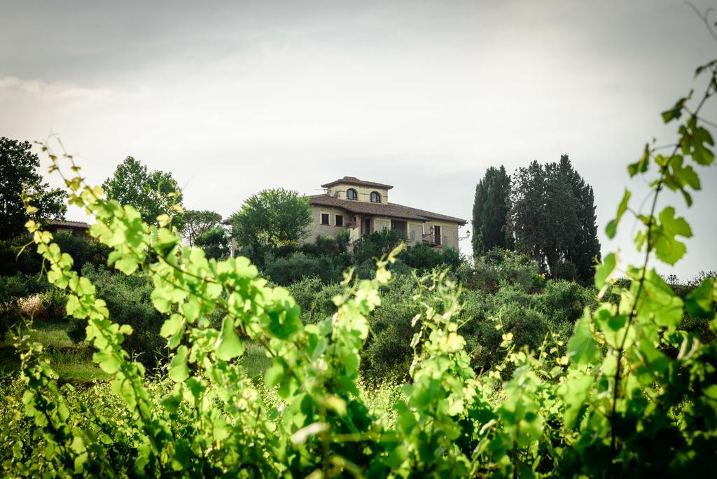Tenuta Pizzogallo Amelia Exterior foto