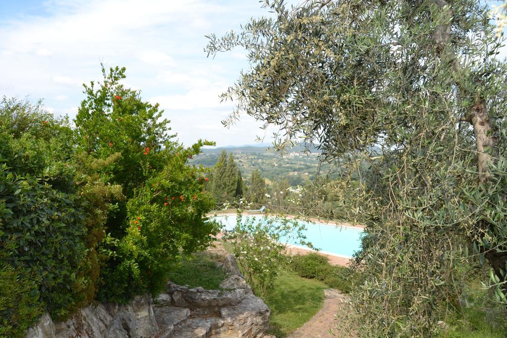 Tenuta Pizzogallo Amelia Exterior foto