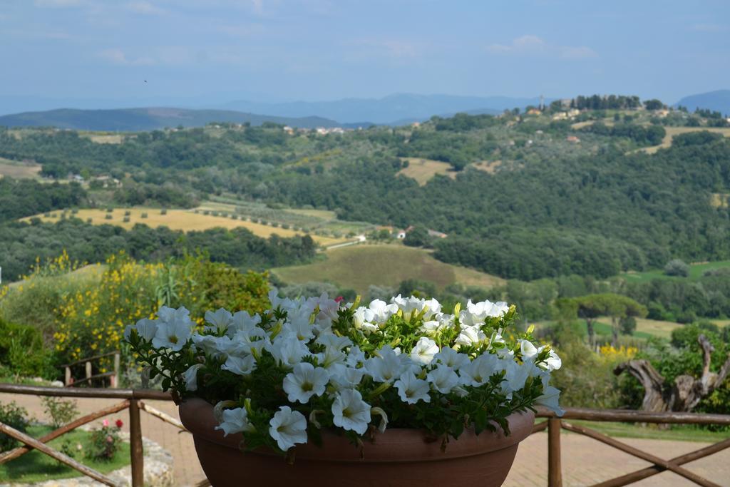 Tenuta Pizzogallo Amelia Exterior foto