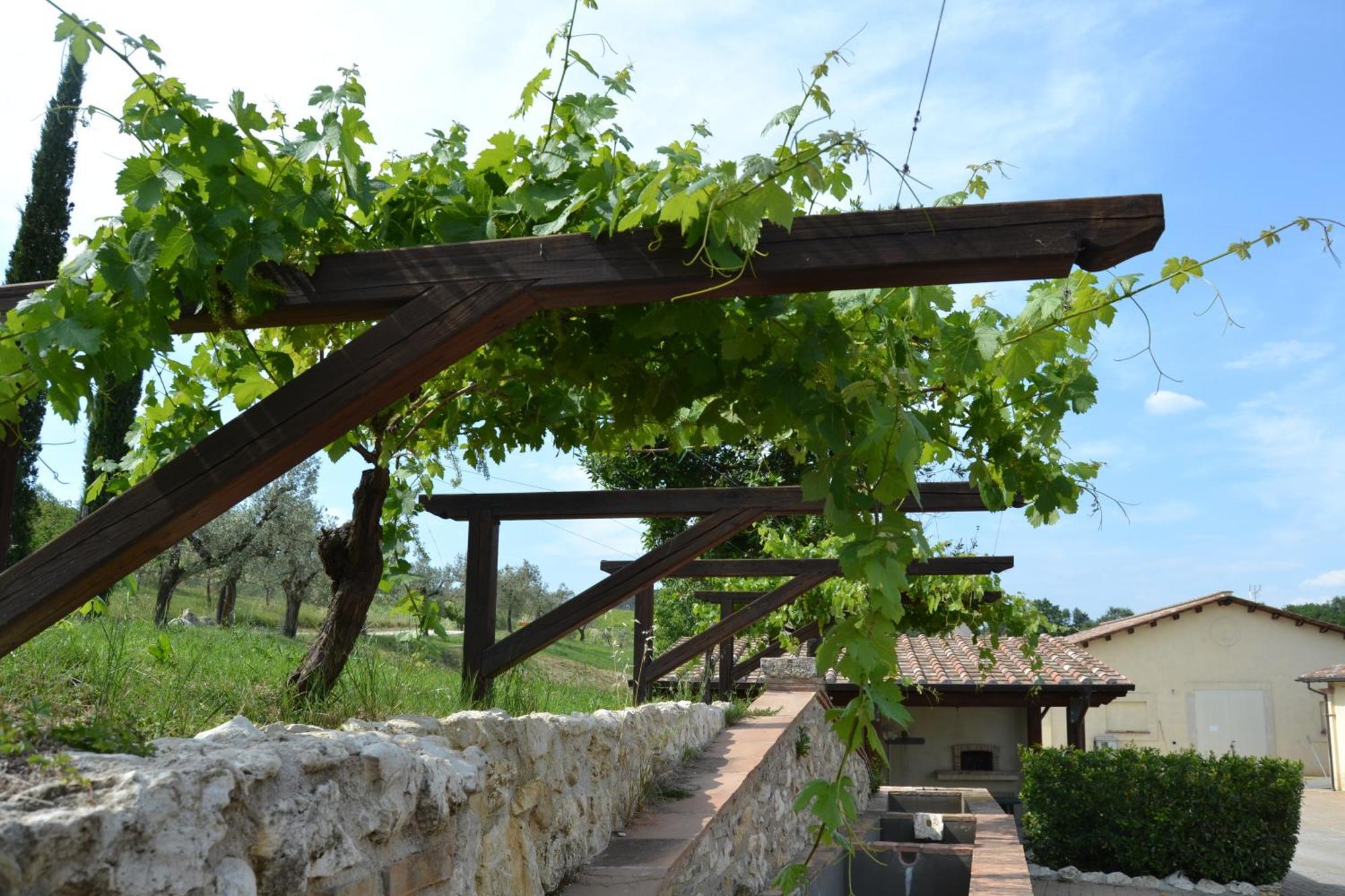 Tenuta Pizzogallo Amelia Exterior foto
